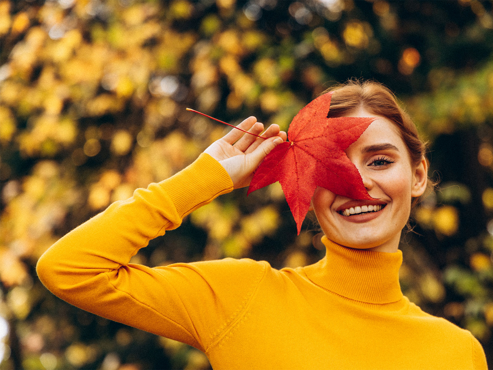 Immobilienkurse Highlights November