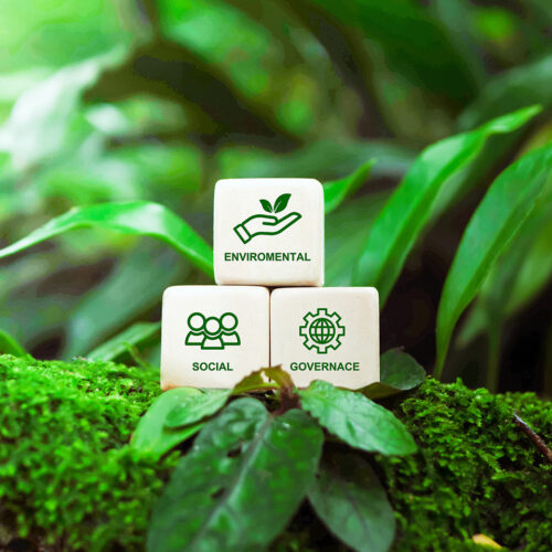 Drei Würfel zu ESG-Themen im Wald